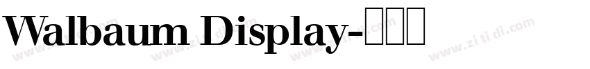 Walbaum Display字体转换